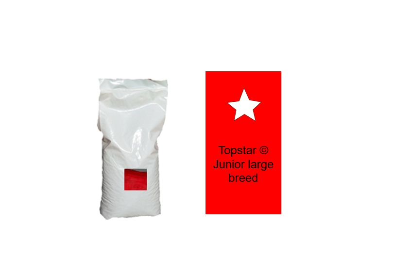 product hondenvoer junior large breed 01 product hondenvoer junior large breed 01